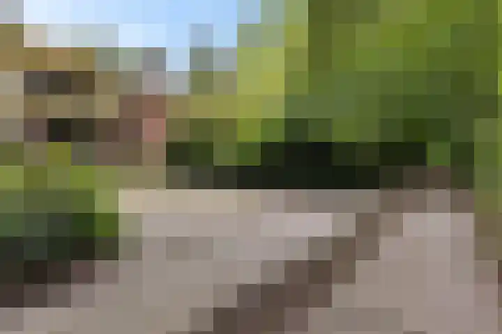 Hoofdweg 217 Schildwolde thumbnail 28