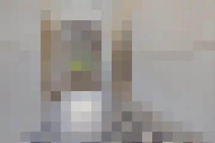 Hoofdweg 217 Schildwolde thumbnail 30