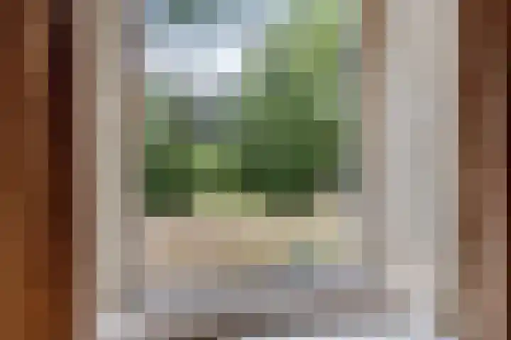 Hoofdweg 217 Schildwolde thumbnail 34