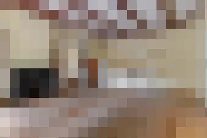 Hoofdweg 217 Schildwolde thumbnail 38