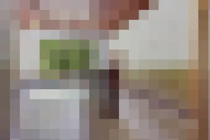 Hoofdweg 217 Schildwolde thumbnail 44