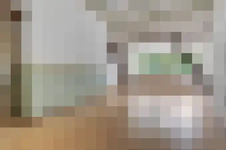 Hoofdweg 217 Schildwolde thumbnail 53