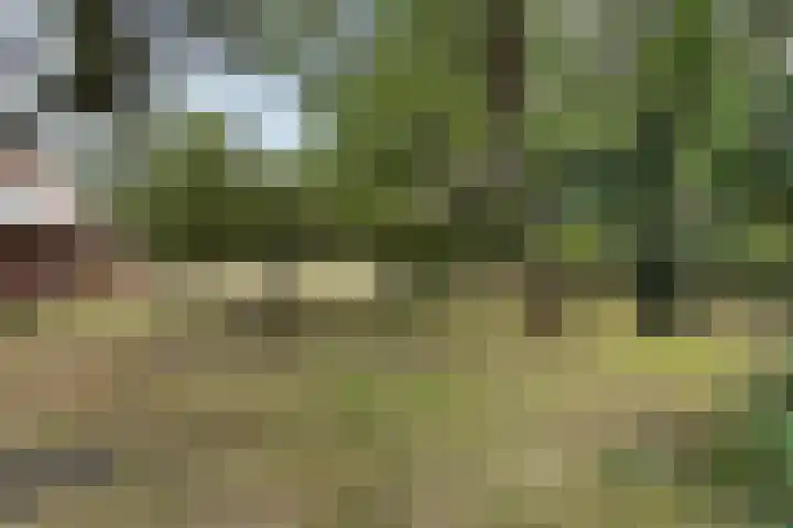 Hoofdweg 217 Schildwolde thumbnail 6