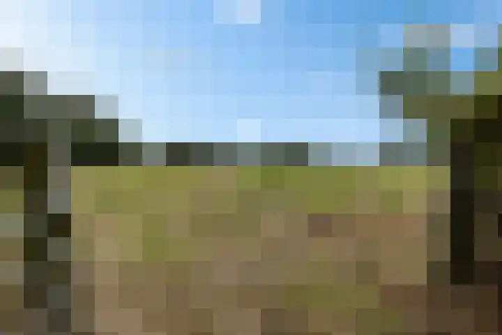 Hoofdweg 217 Schildwolde thumbnail 7
