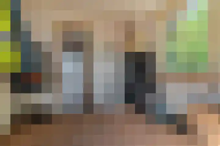 Hoofdweg 22 Bellingwolde thumbnail 13