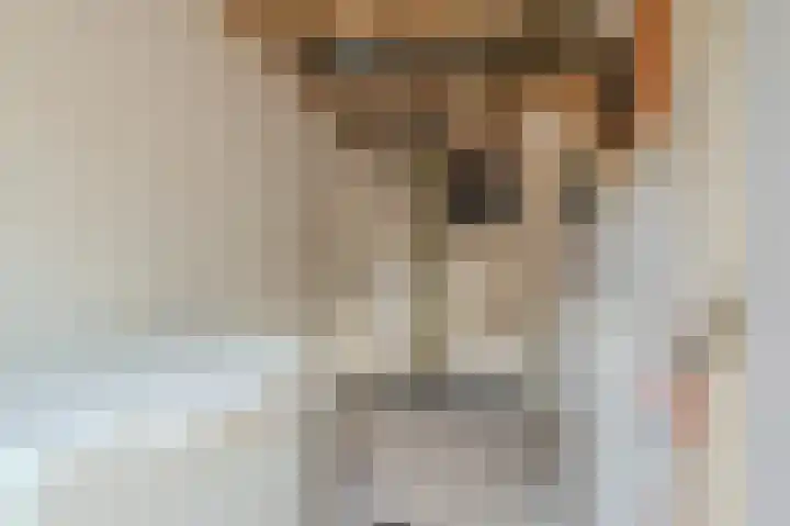 Hoofdweg 22 Bellingwolde thumbnail 16