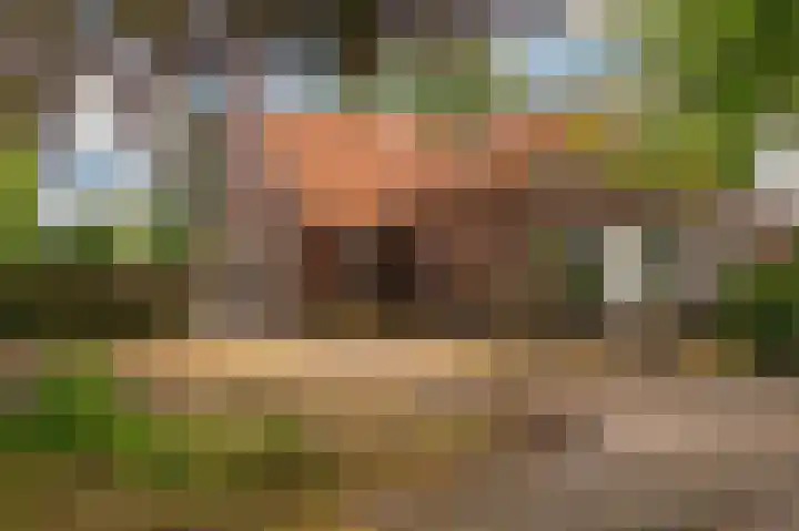 Hoofdweg 22 Bellingwolde thumbnail 34