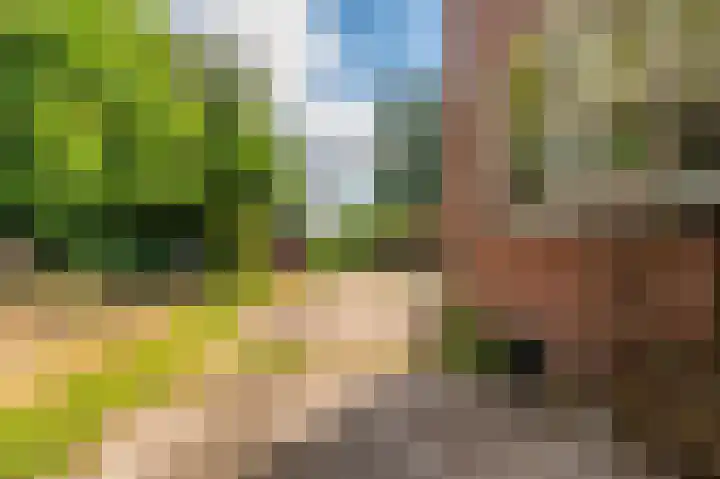 Hoofdweg 22 Bellingwolde thumbnail 35