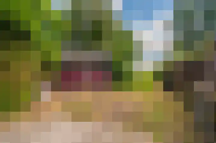 Hoofdweg 22 Bellingwolde thumbnail 39