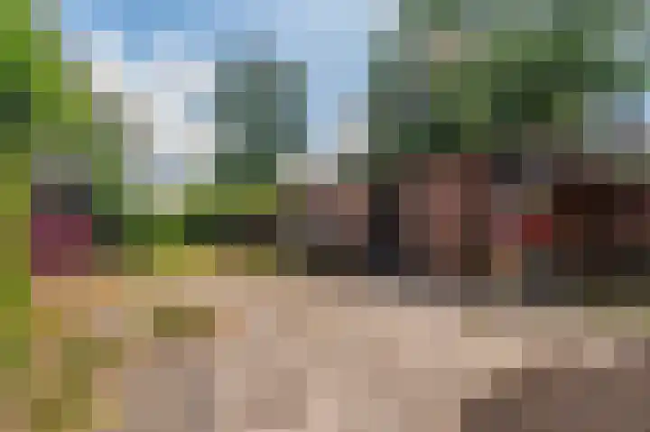 Hoofdweg 22 Bellingwolde thumbnail 40