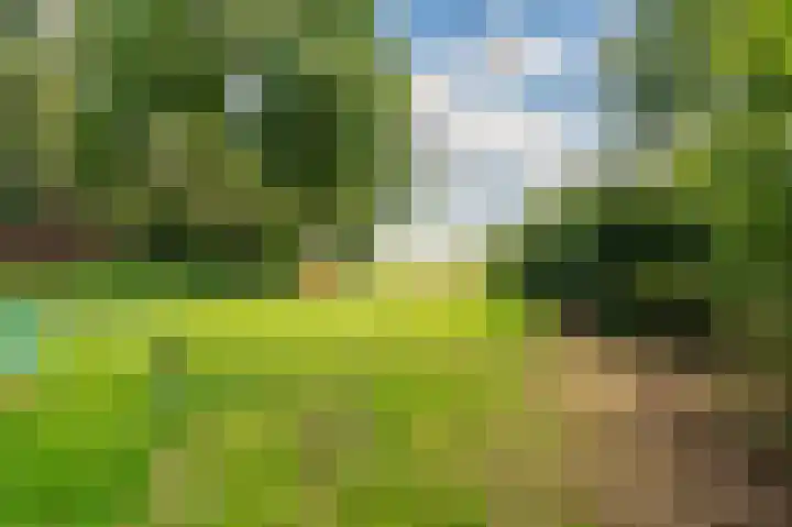 Hoofdweg 22 Bellingwolde thumbnail 41
