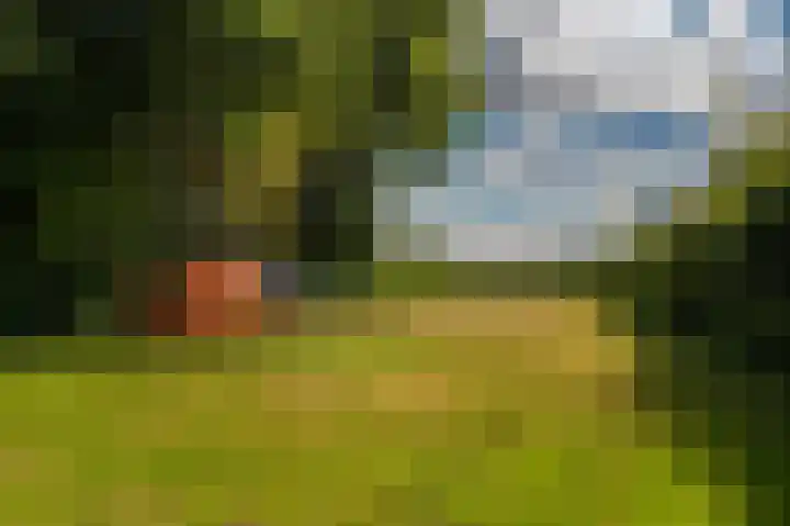 Hoofdweg 22 Bellingwolde thumbnail 42