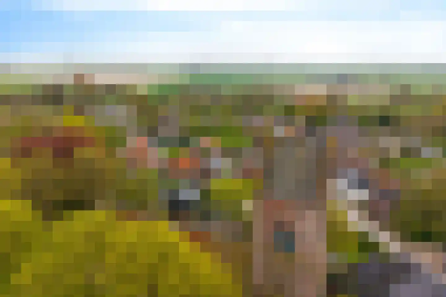 Hoofdweg 22 Godlinze thumbnail 10