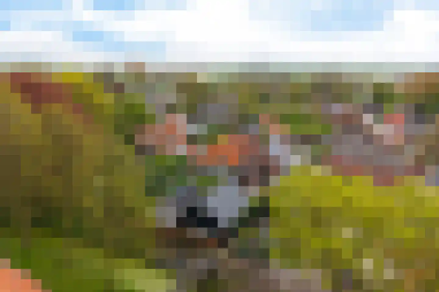 Hoofdweg 22 Godlinze thumbnail 11