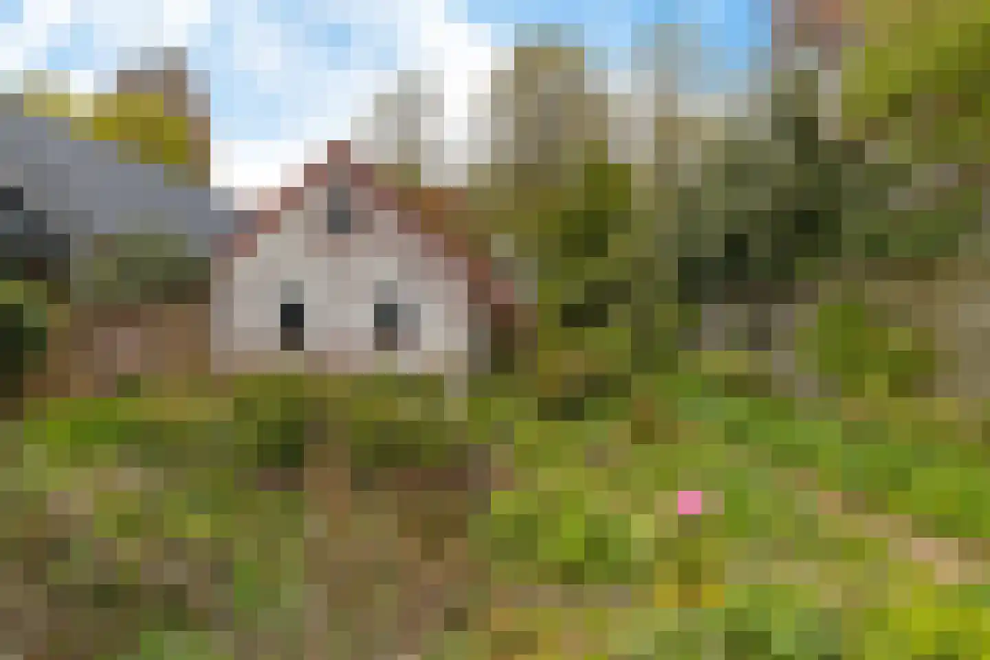 Hoofdweg 22 Godlinze thumbnail 21
