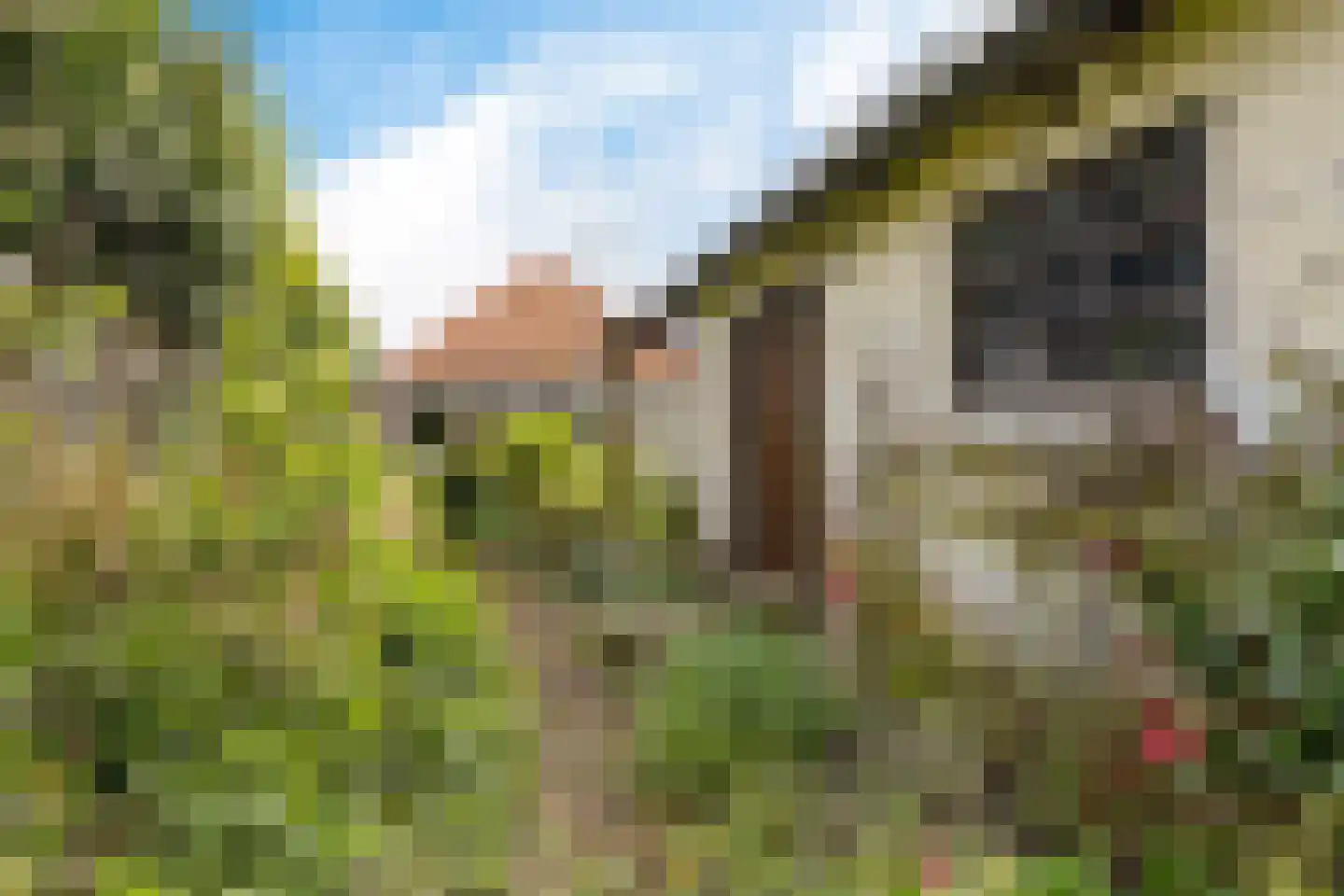 Hoofdweg 22 Godlinze thumbnail 22