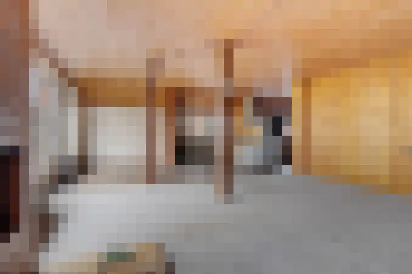 Hoofdweg 22 Godlinze thumbnail 32