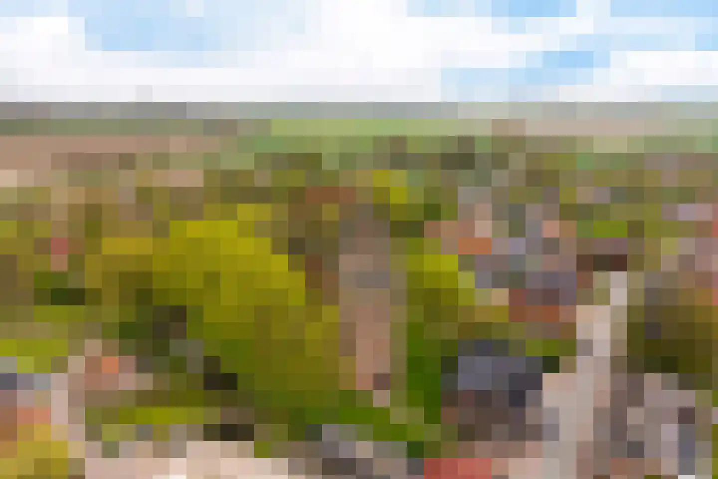 Hoofdweg 22 Godlinze thumbnail 9