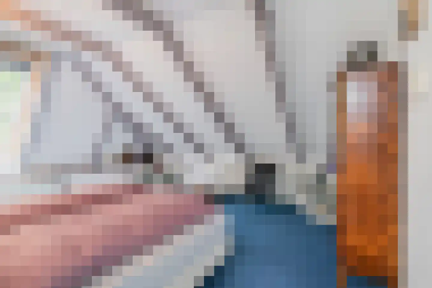 Hoofdweg 22 Nieuw Beerta thumbnail 38