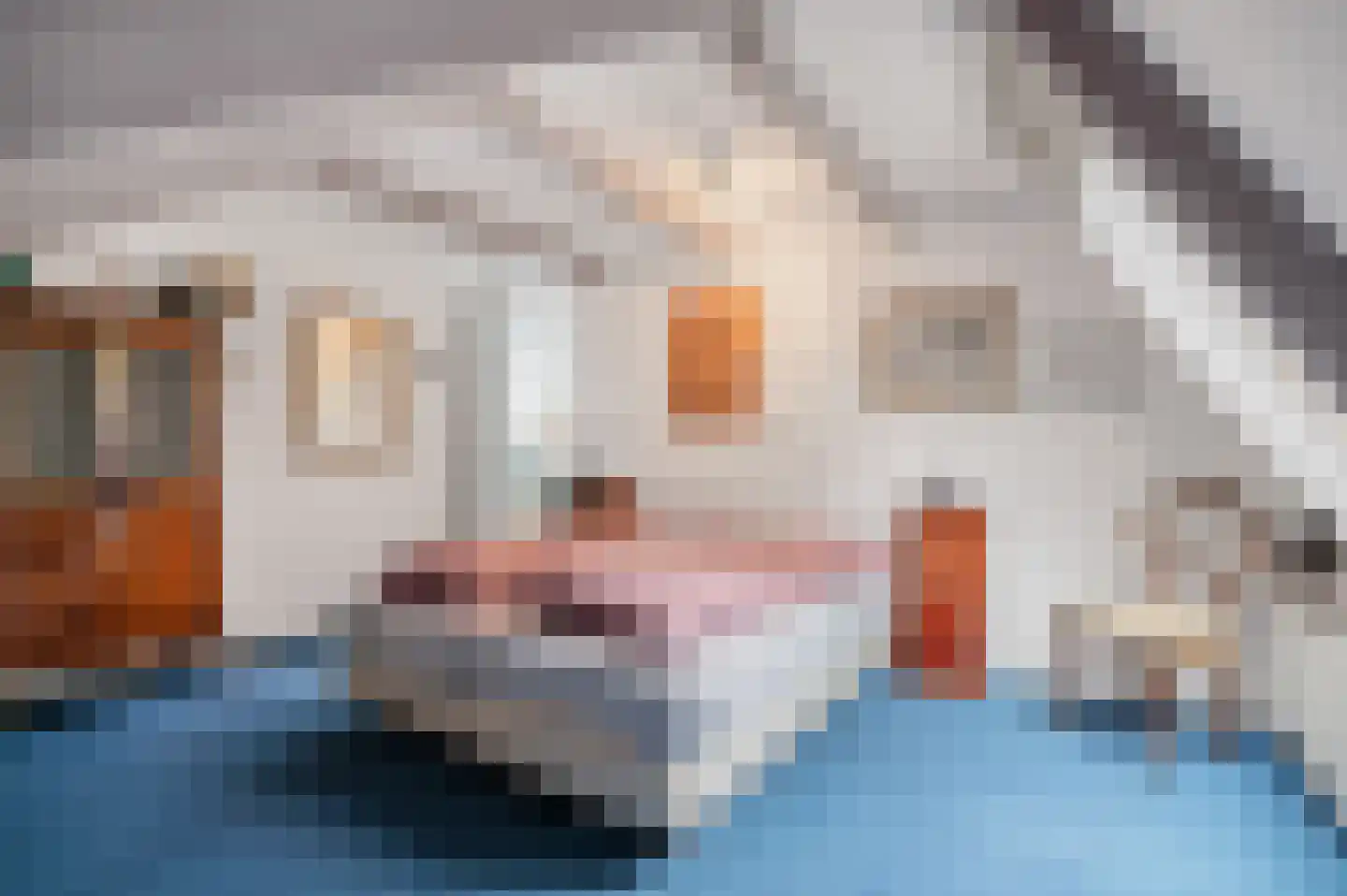 Hoofdweg 22 Nieuw Beerta thumbnail 39