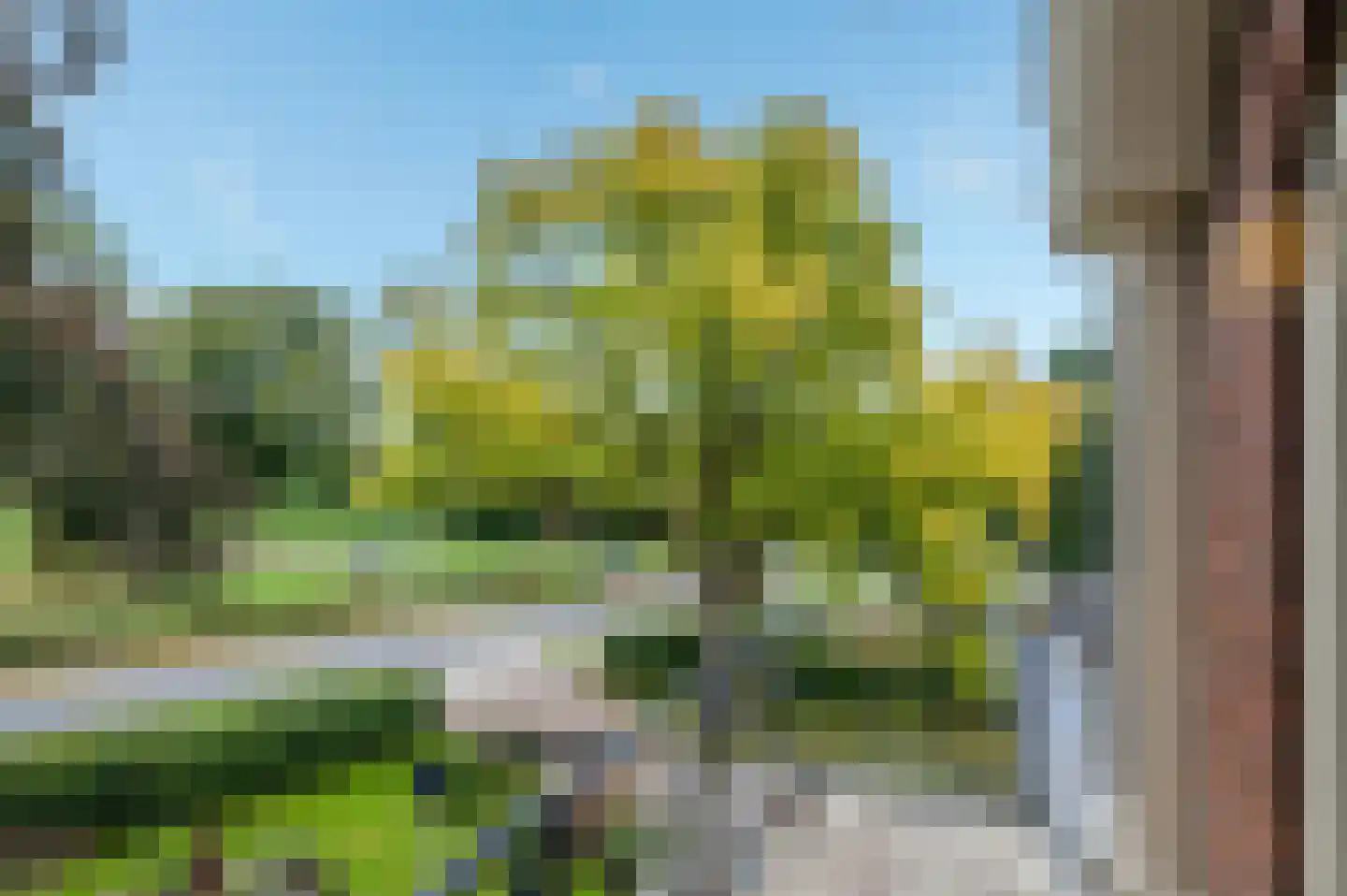 Hoofdweg 22 Nieuw Beerta thumbnail 42