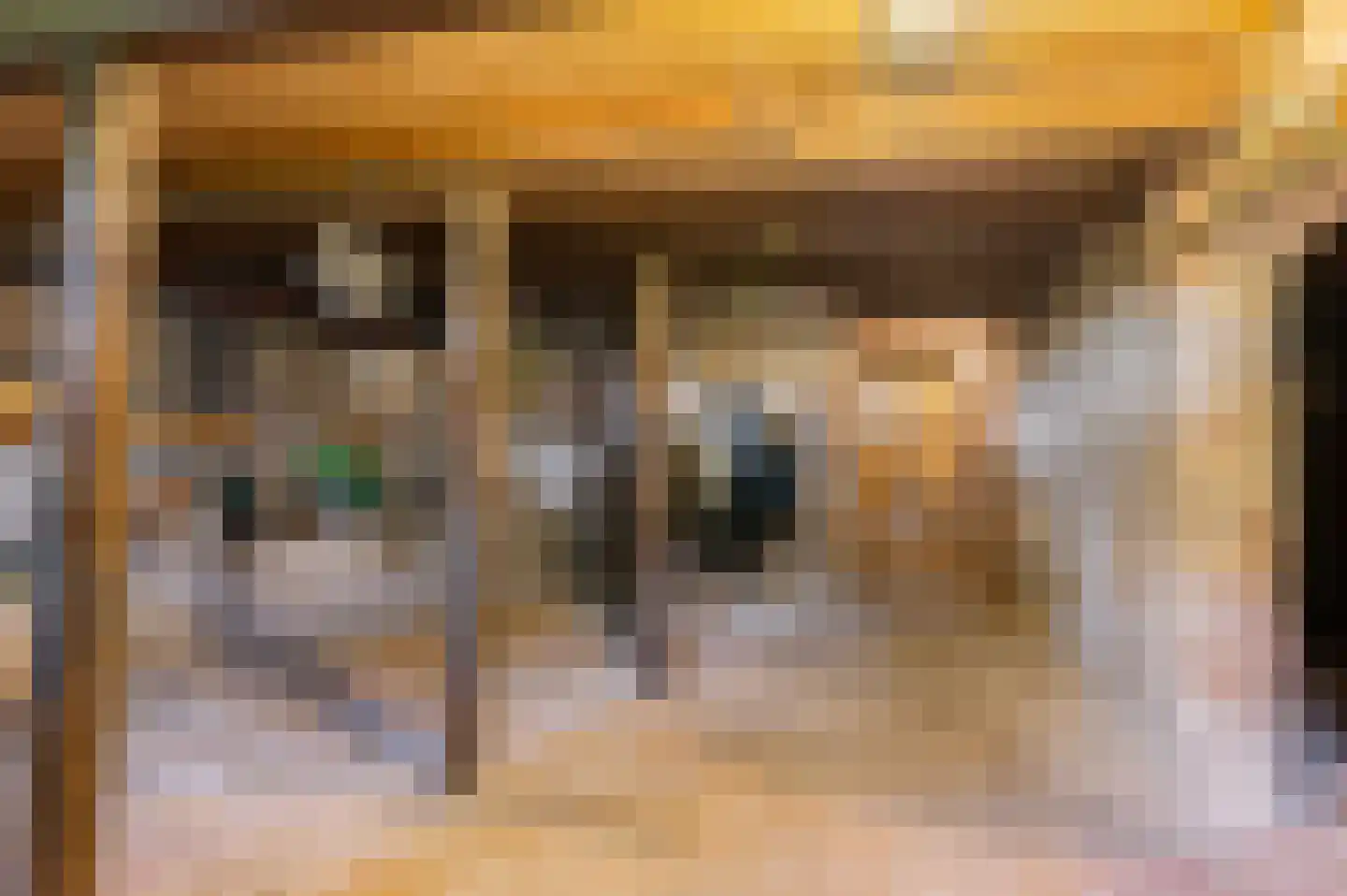 Hoofdweg 22 Nieuw Beerta thumbnail 50