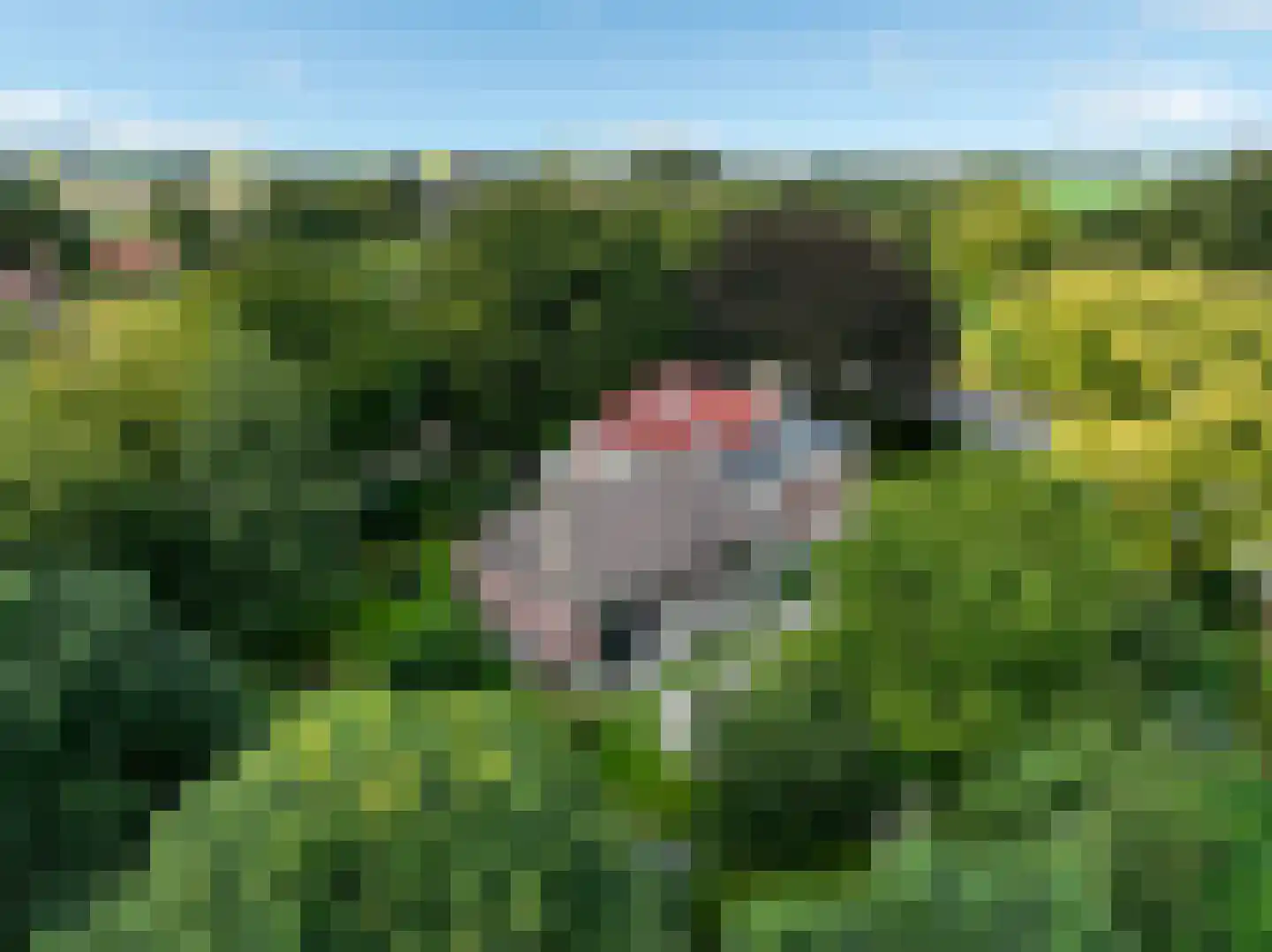 Hoofdweg 22 Nieuw Beerta thumbnail 6