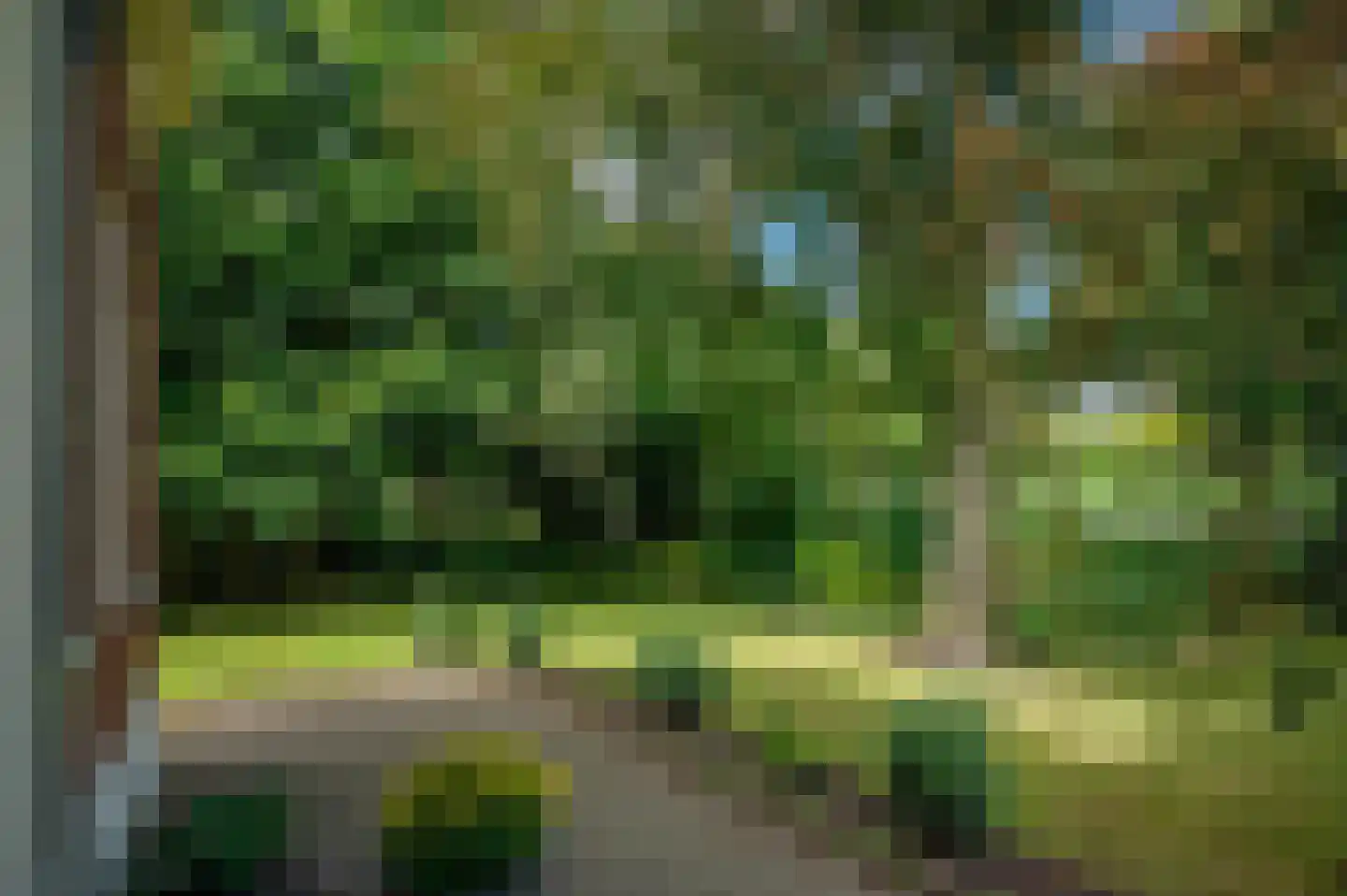 Hoofdweg 22 Nieuw Beerta thumbnail 61