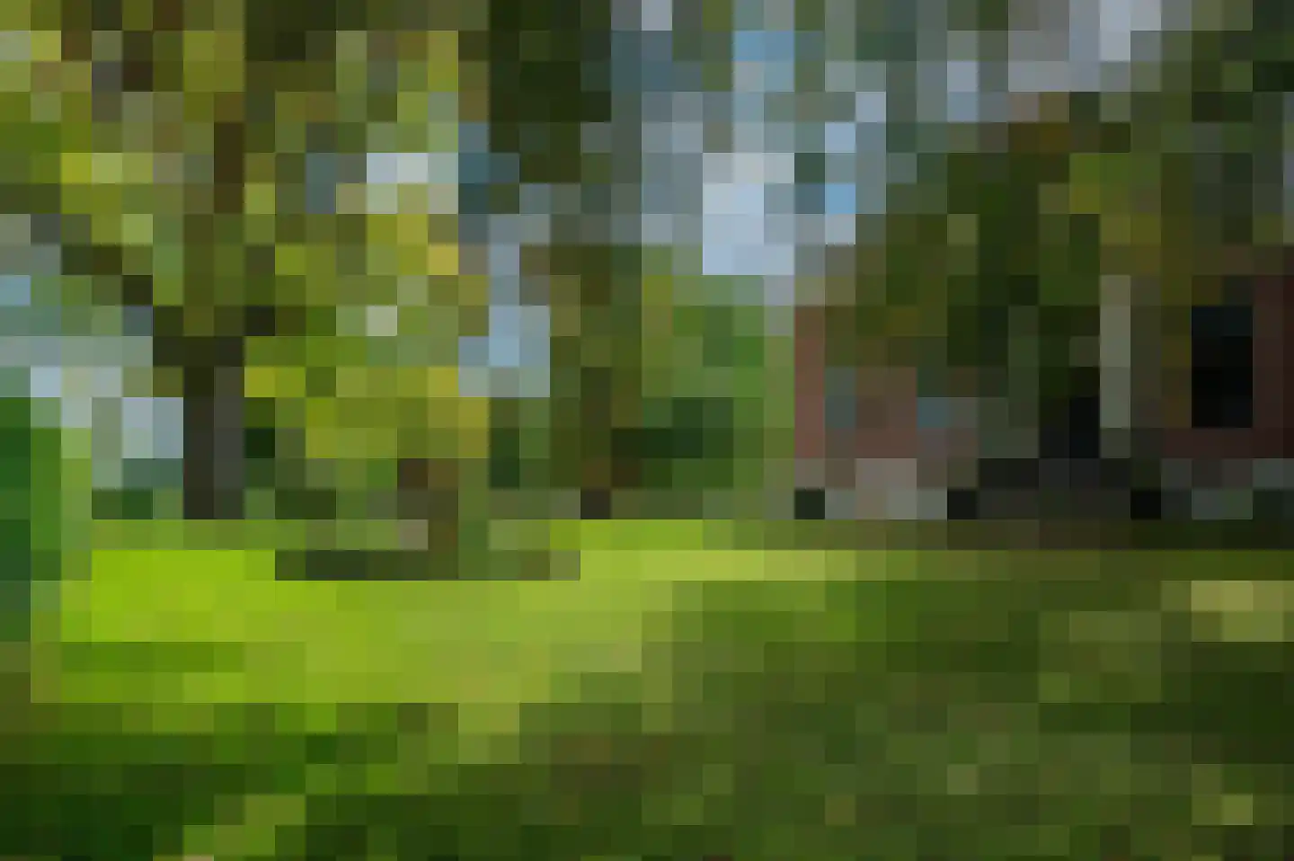 Hoofdweg 22 Nieuw Beerta thumbnail 64