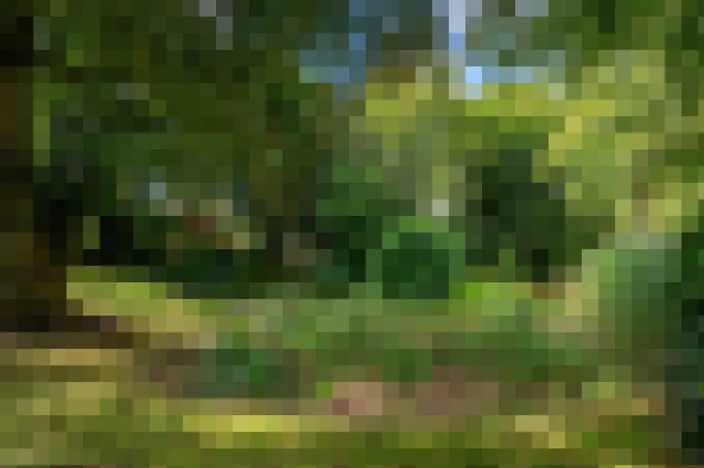 Hoofdweg 22 Nieuw Beerta thumbnail 66
