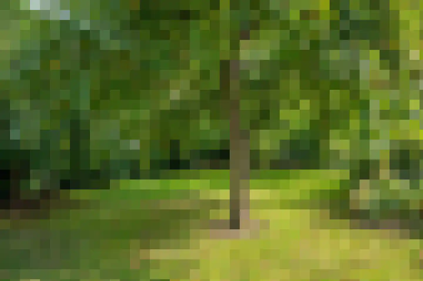 Hoofdweg 22 Nieuw Beerta thumbnail 68