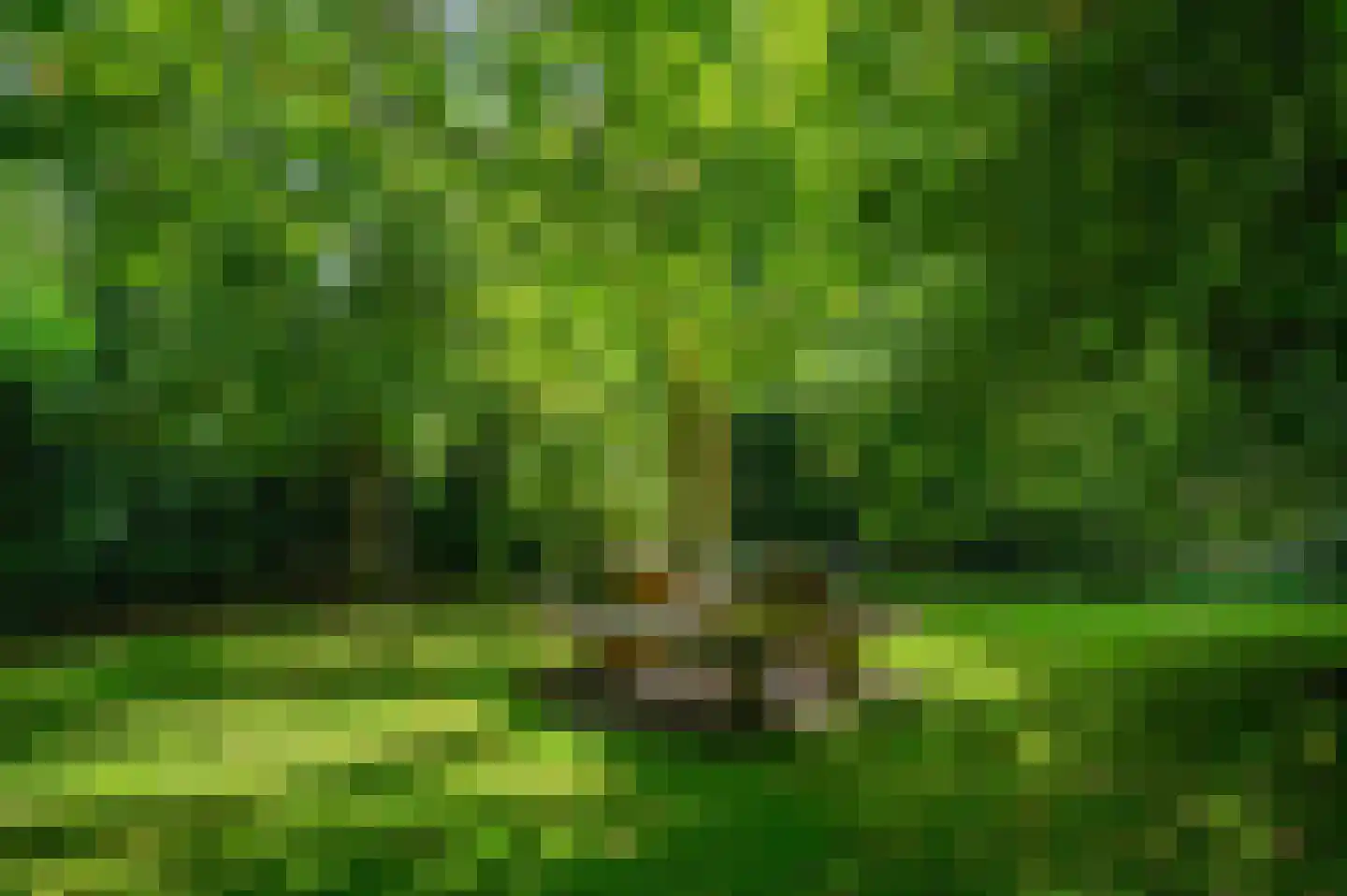 Hoofdweg 22 Nieuw Beerta thumbnail 69