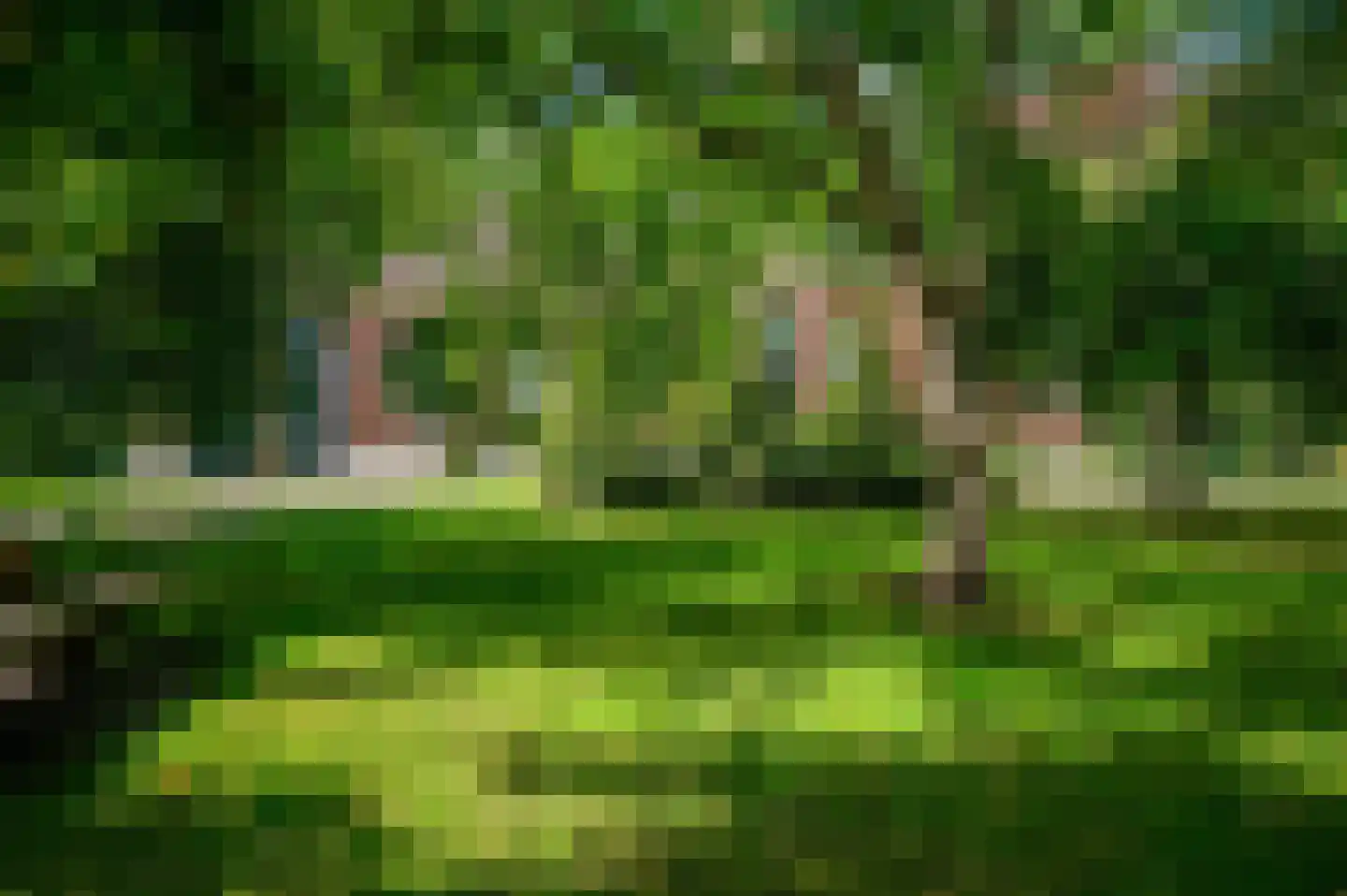 Hoofdweg 22 Nieuw Beerta thumbnail 70