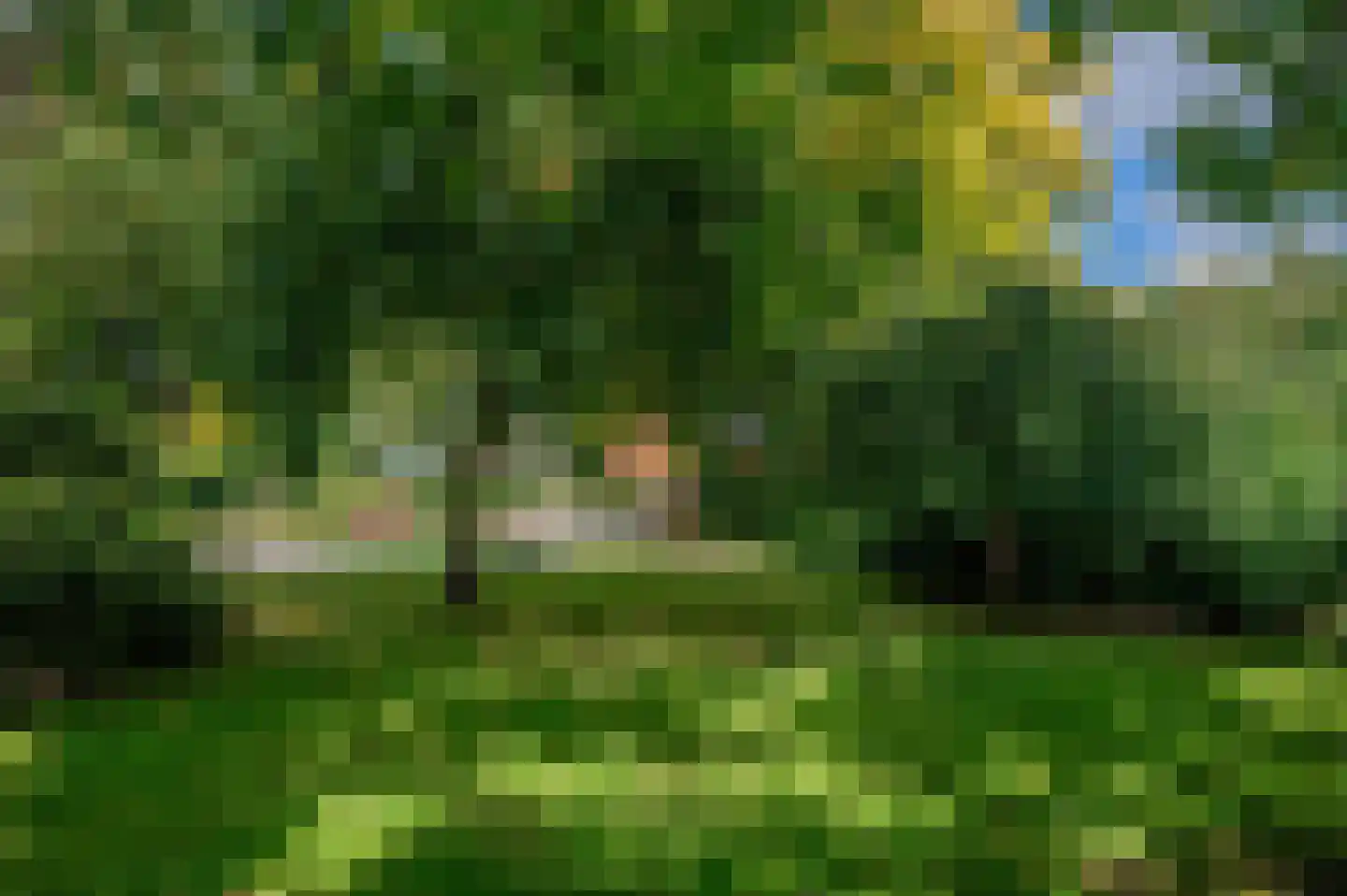 Hoofdweg 22 Nieuw Beerta thumbnail 71