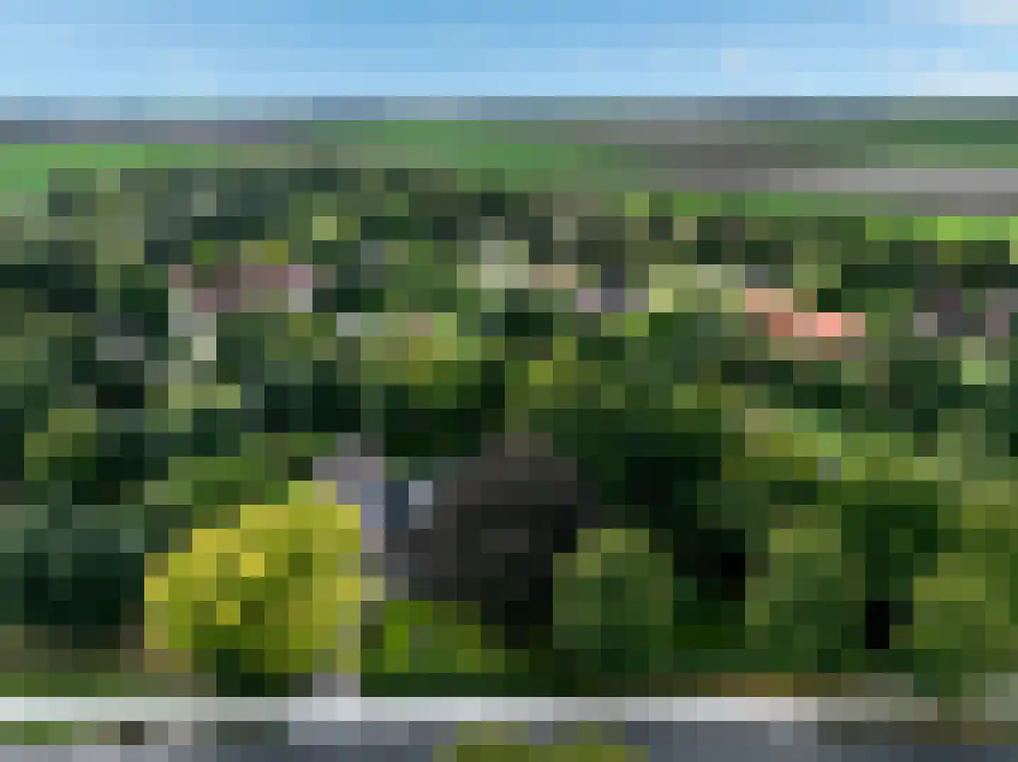 Hoofdweg 22 Nieuw Beerta thumbnail 74