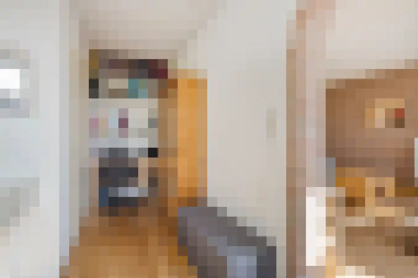 Hoofdweg 22 Sonnega thumbnail 10