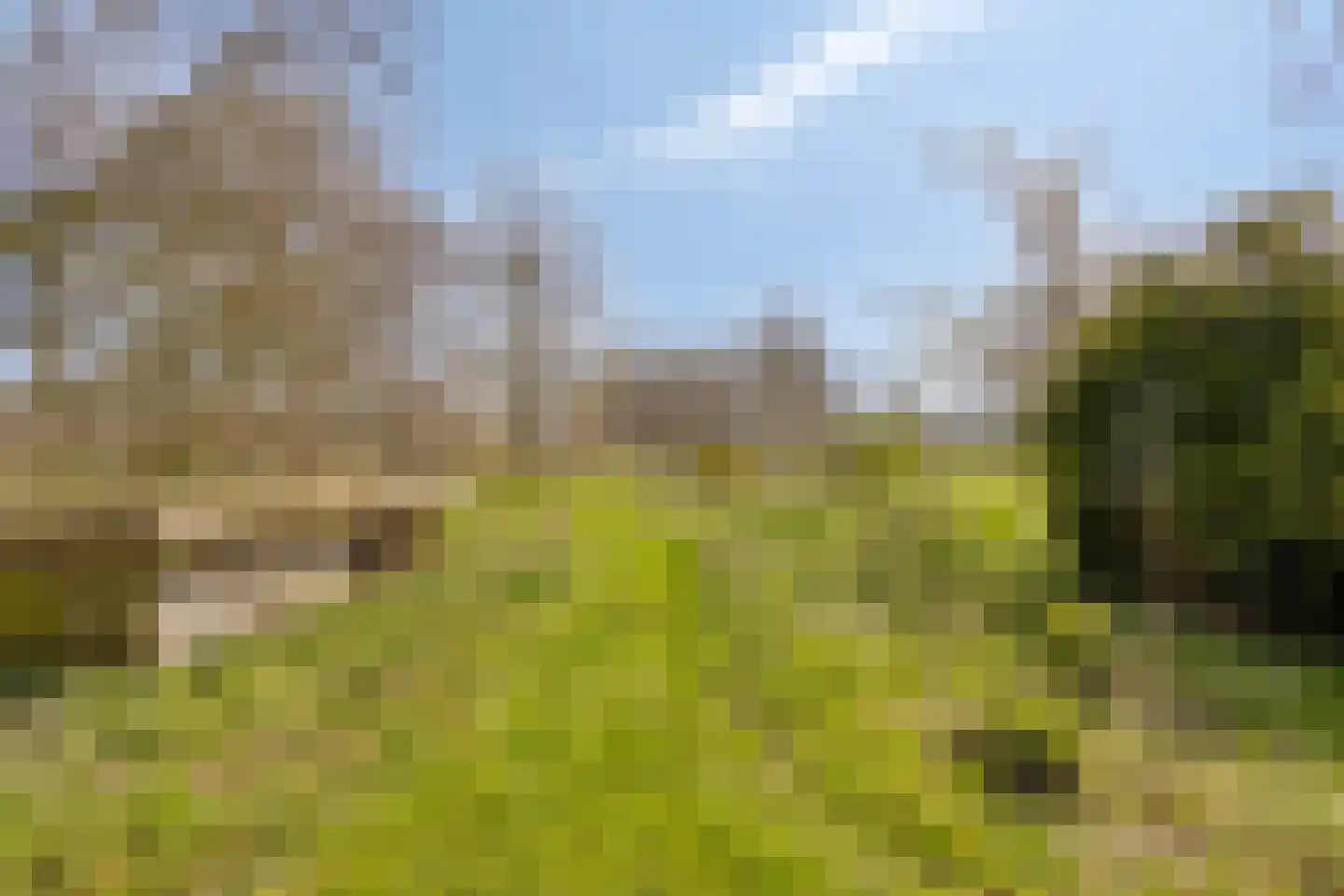 Hoofdweg 22 Sonnega thumbnail 27