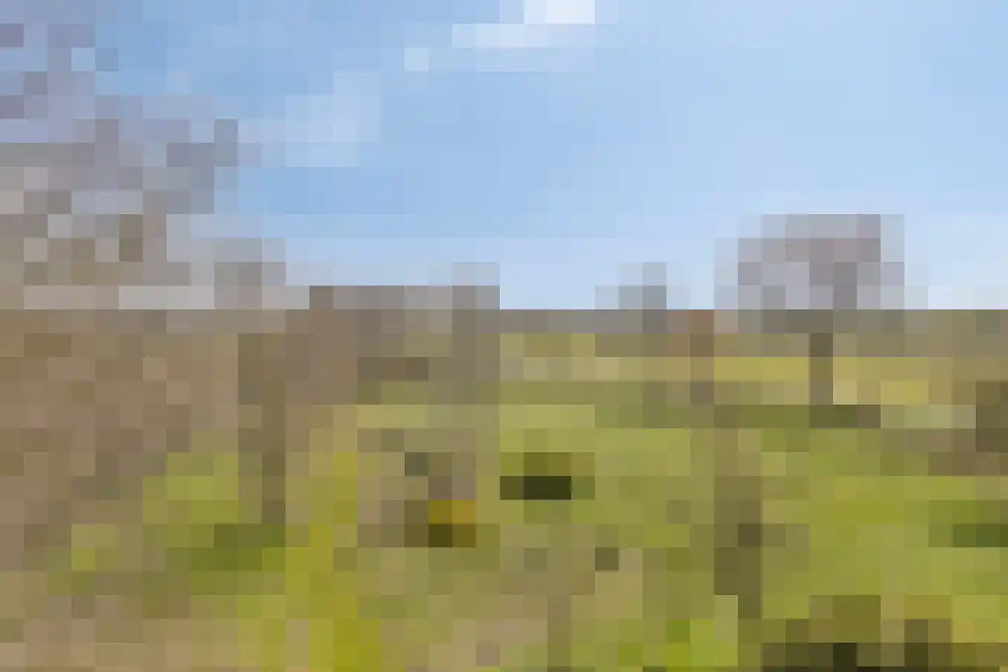 Hoofdweg 22 Sonnega thumbnail 36