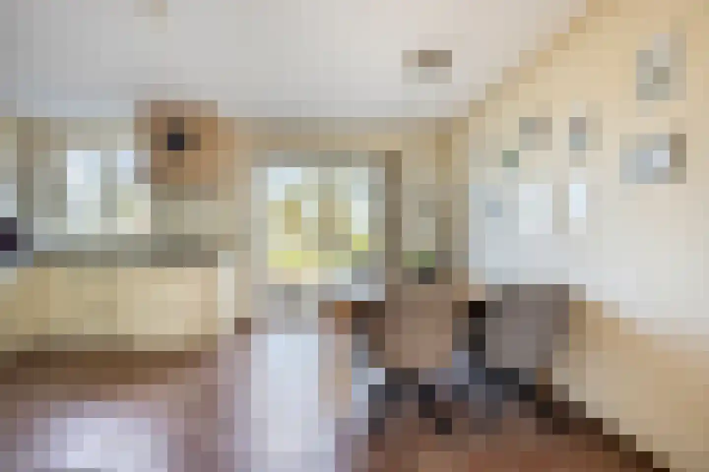 Hoofdweg 22 Sonnega thumbnail 5