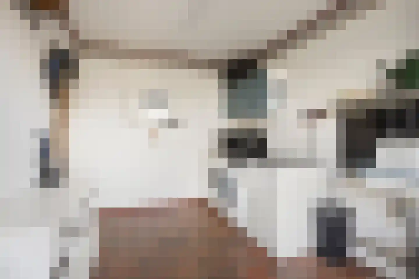 Hoofdweg 22 Sonnega thumbnail 8