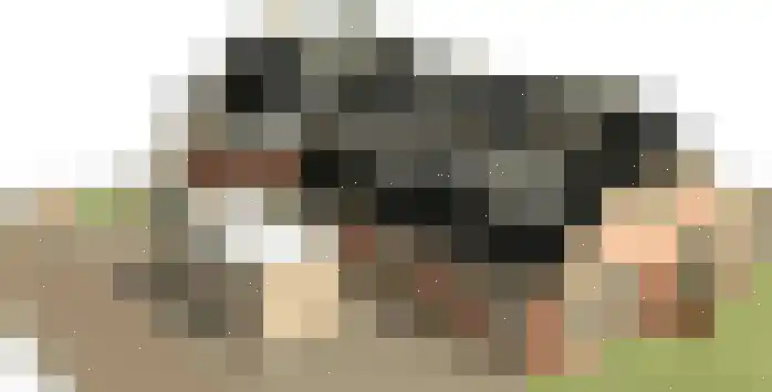 Hoofdweg 223 a Paterswolde thumbnail 4