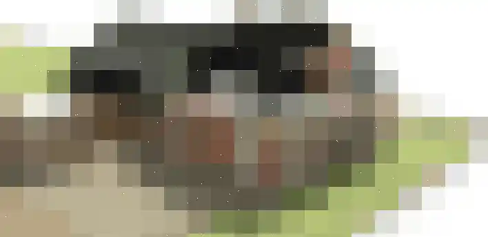 Hoofdweg 223 c Paterswolde thumbnail 4