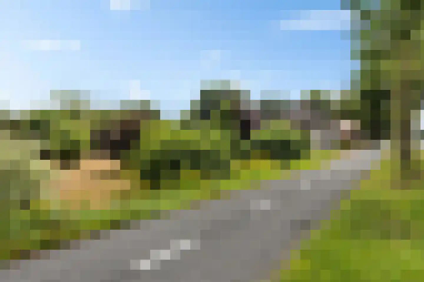 Hoofdweg 224 Bovensmilde thumbnail 32