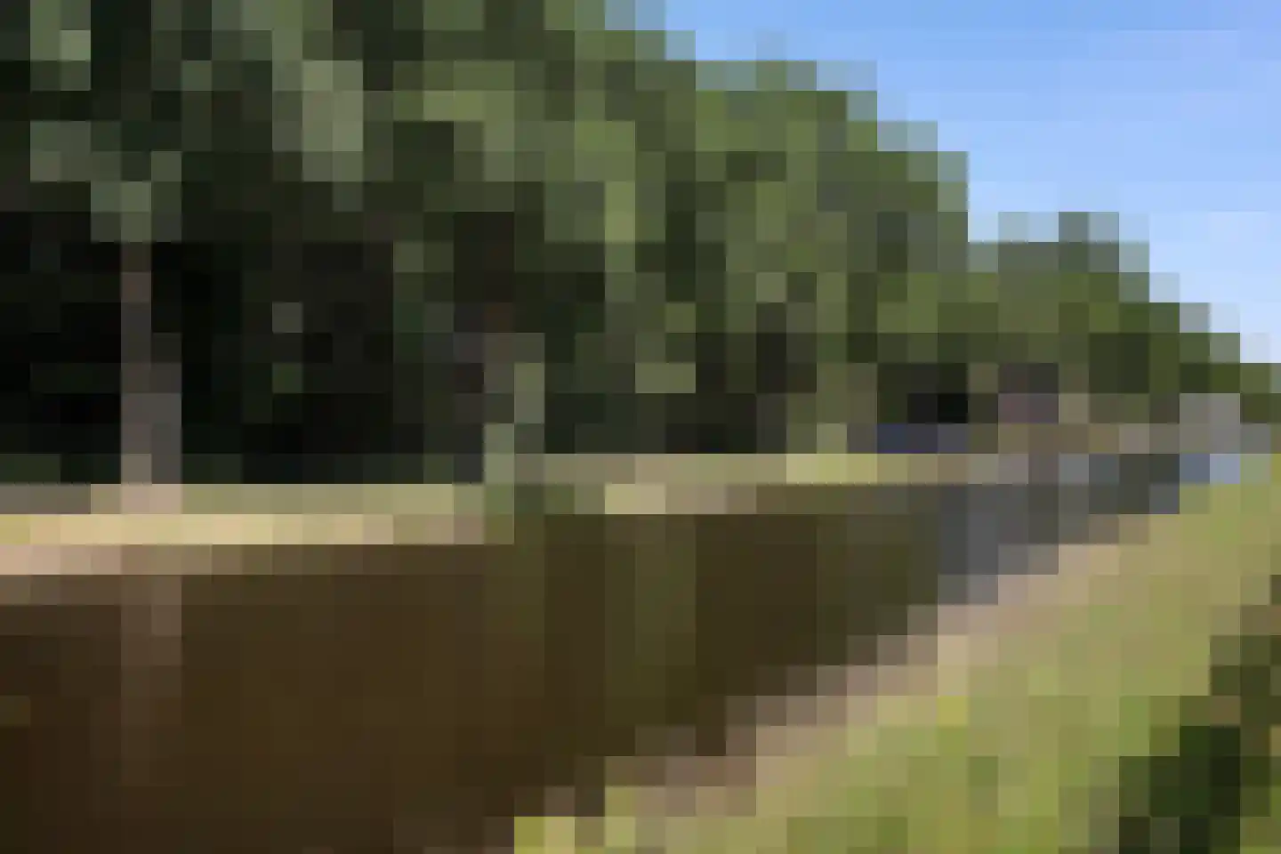 Hoofdweg 224 Bovensmilde thumbnail 33