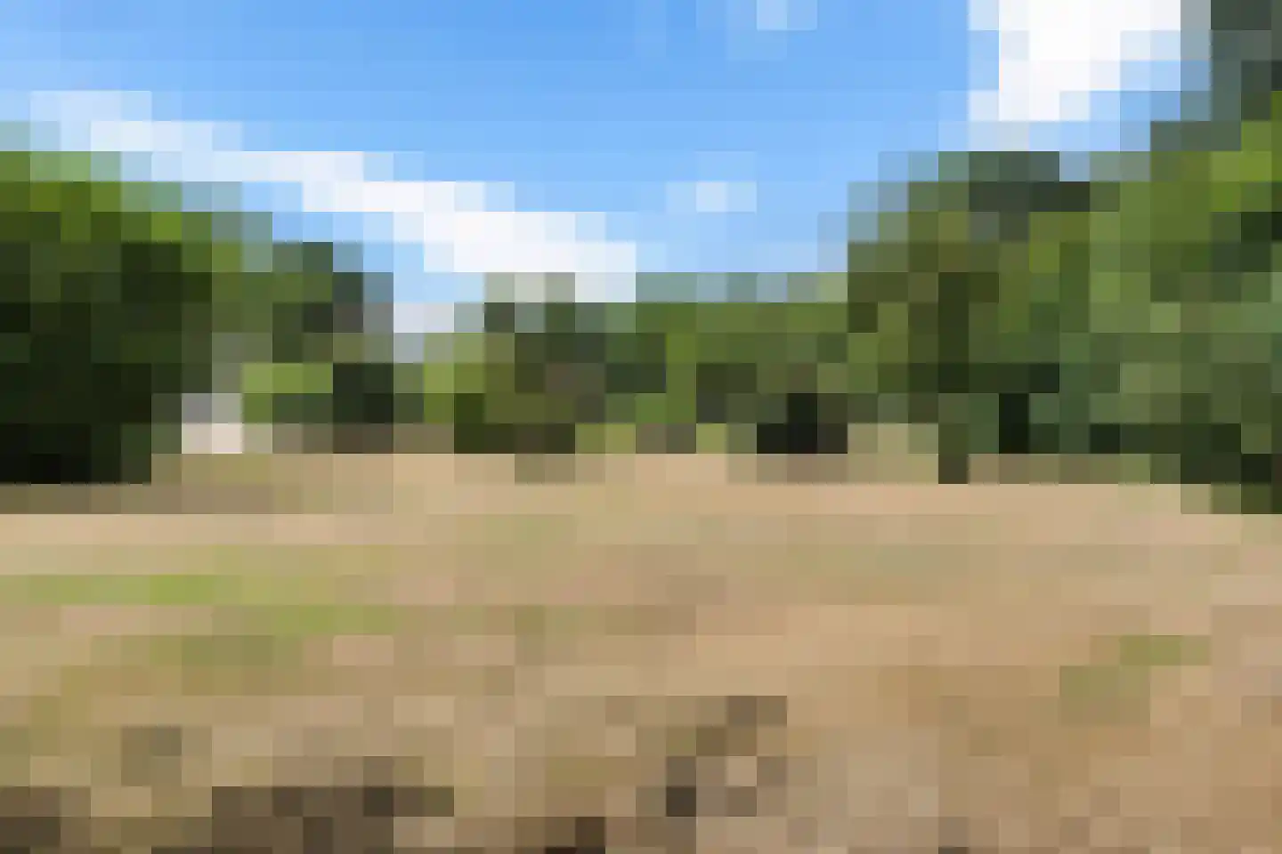 Hoofdweg 224 Bovensmilde thumbnail 38