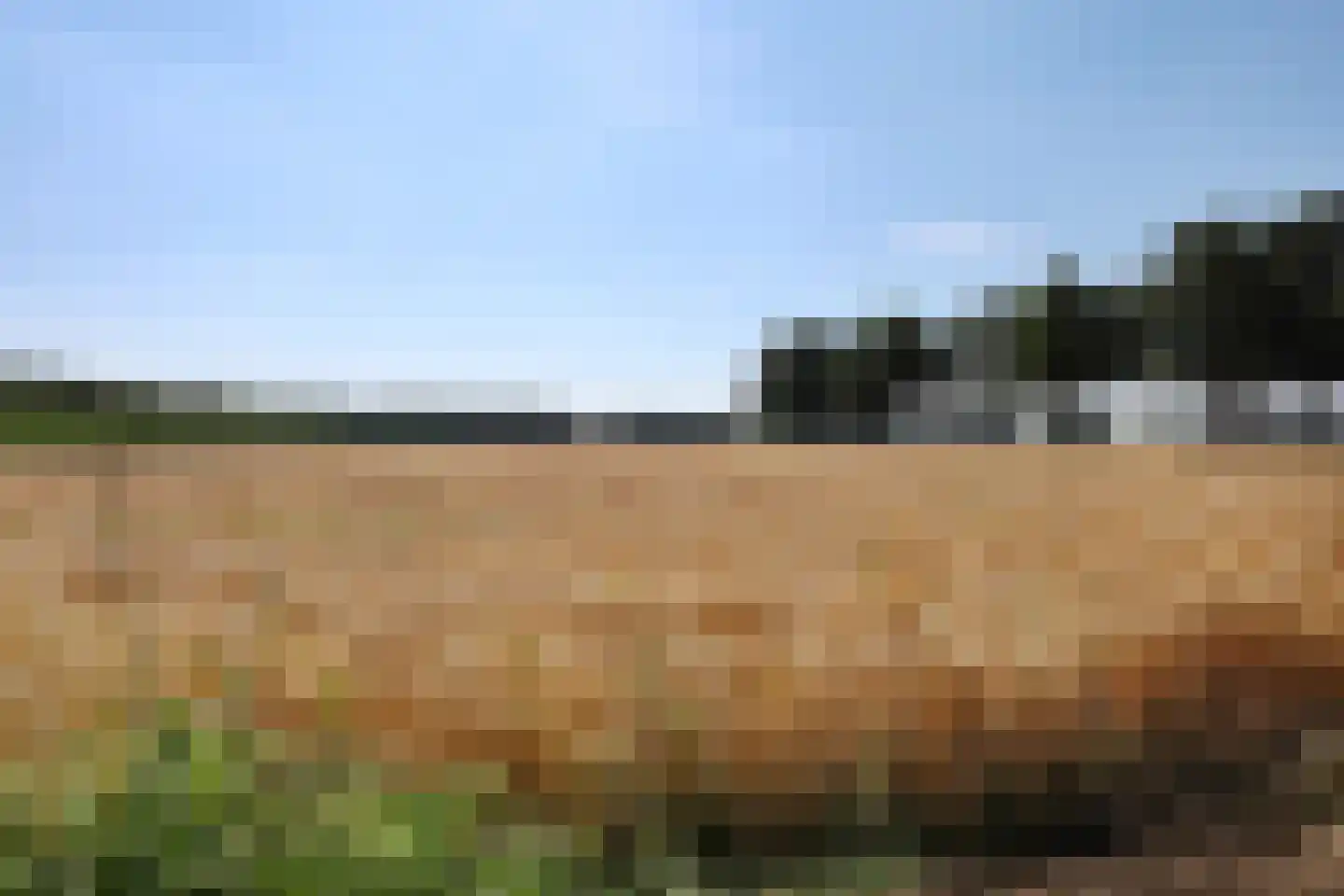 Hoofdweg 224 Bovensmilde thumbnail 4