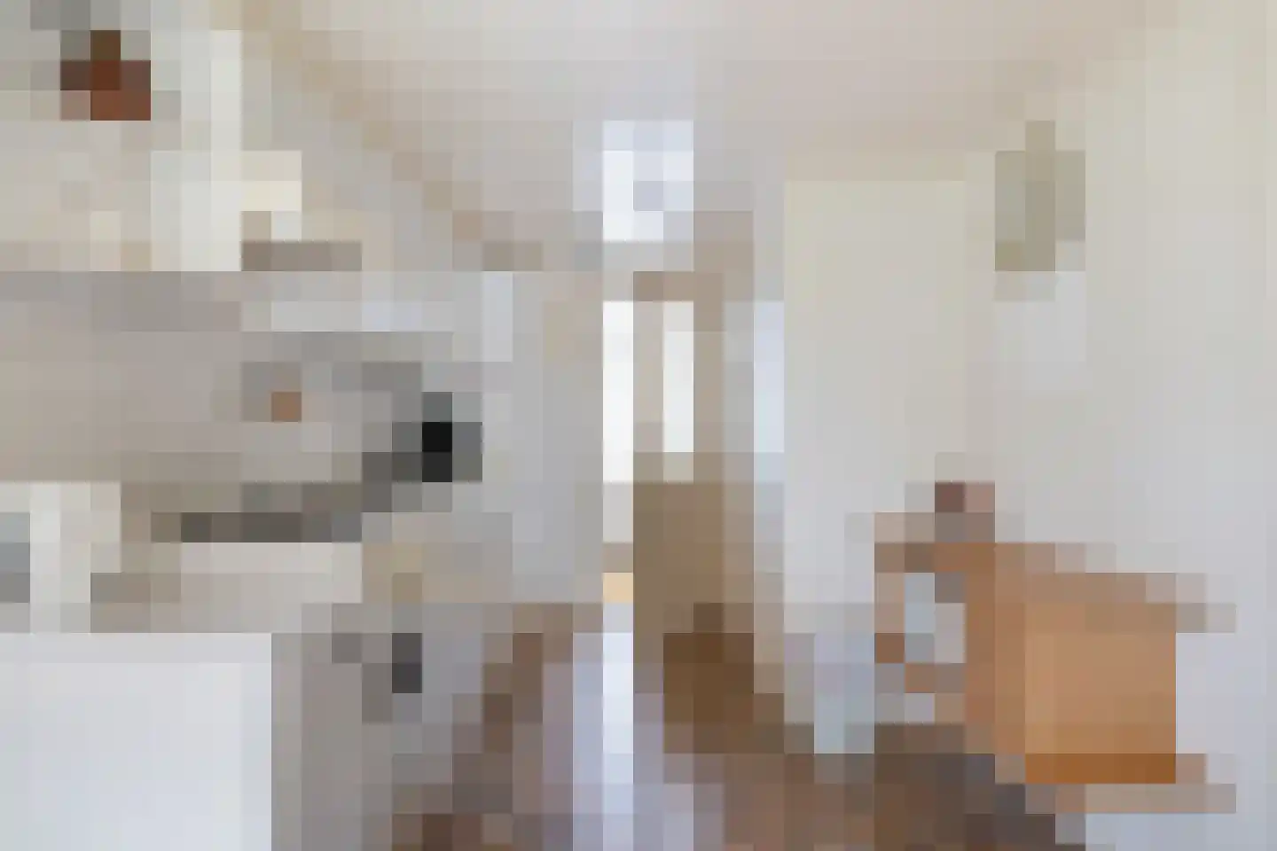 Hoofdweg 224 Bovensmilde thumbnail 7