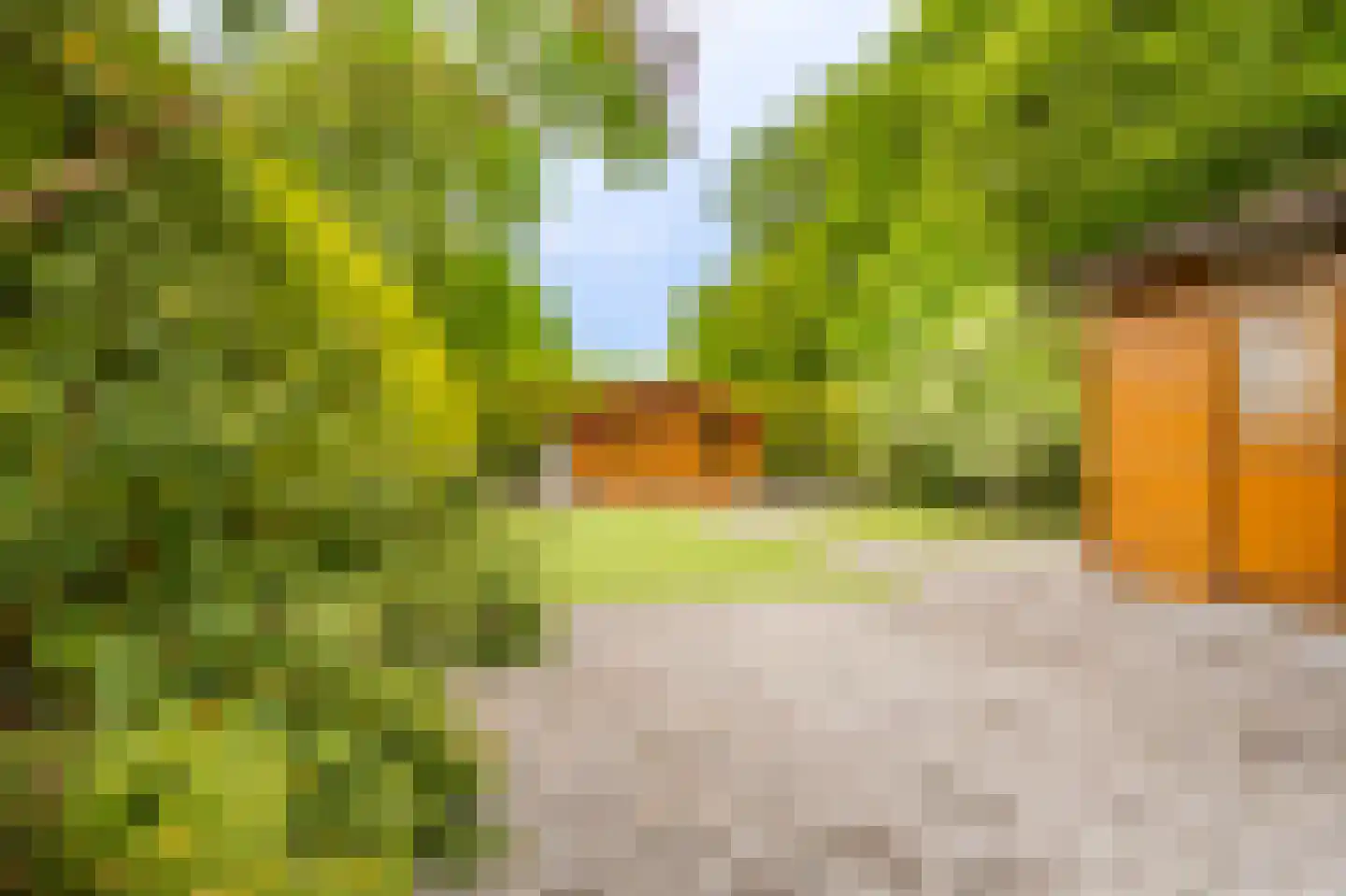Hoofdweg 226 Bellingwolde thumbnail 12