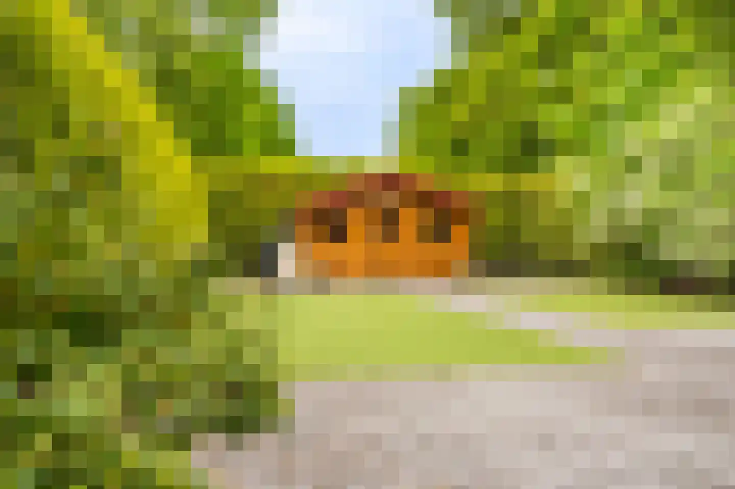 Hoofdweg 226 Bellingwolde thumbnail 13