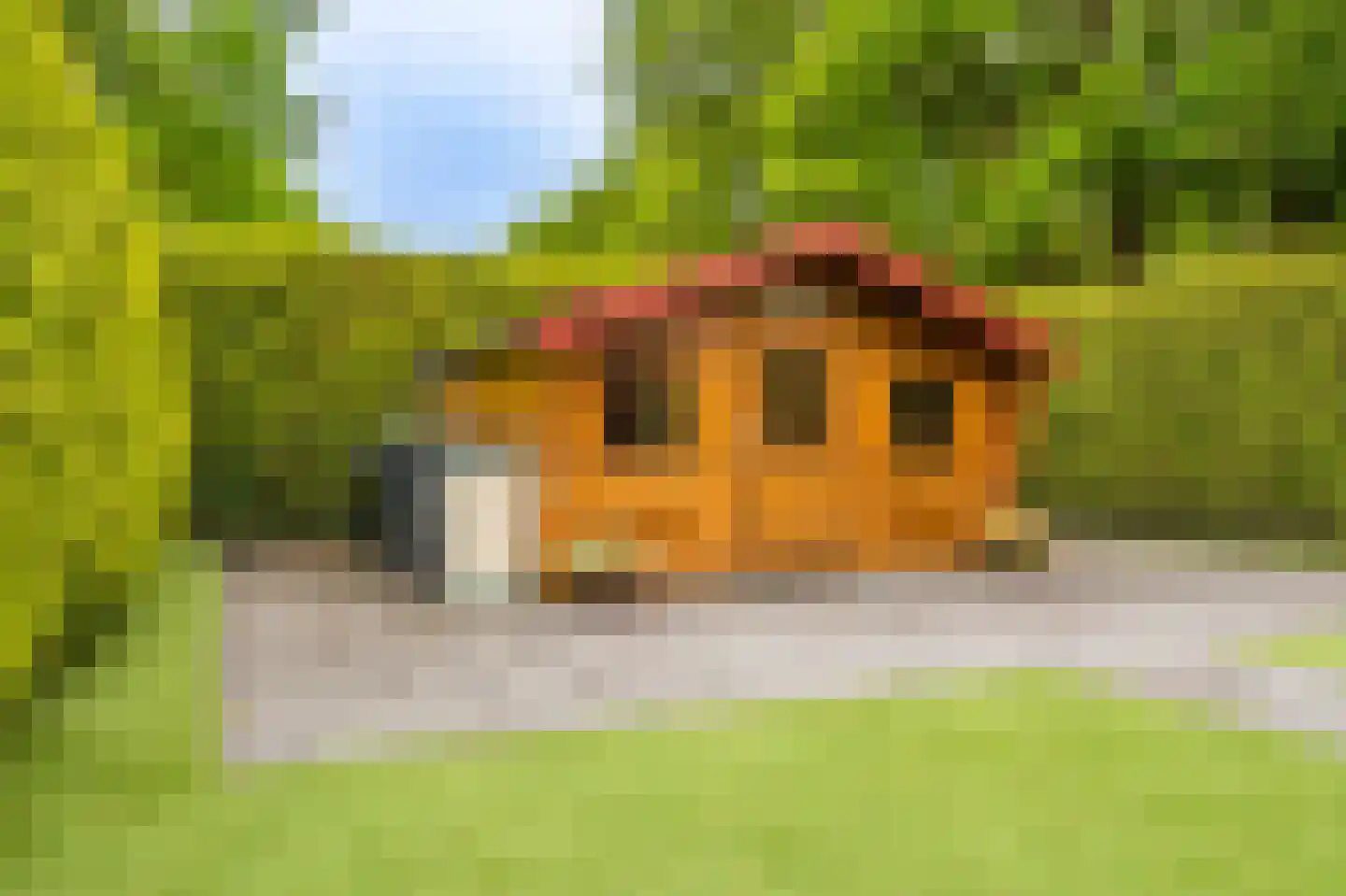 Hoofdweg 226 Bellingwolde thumbnail 14